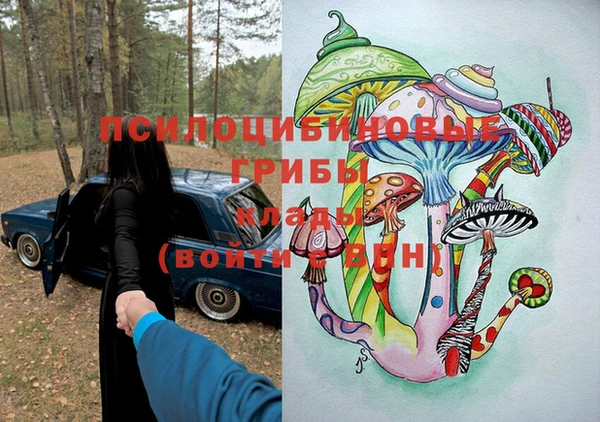 марки lsd Бугульма