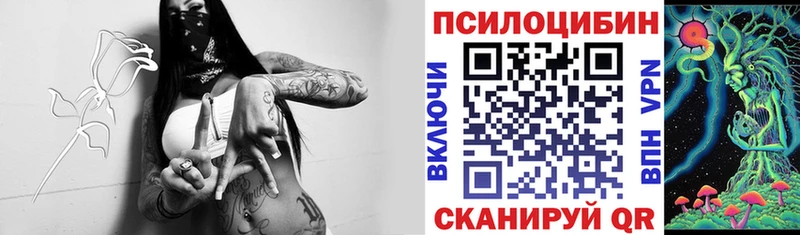 Галлюциногенные грибы Cubensis где продают наркотики Меленки